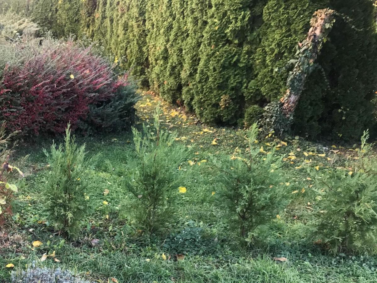 Feng Shui Wellness Apartmanhaz Hévíz Buitenkant foto