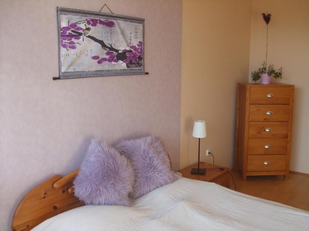 Feng Shui Wellness Apartmanhaz Hévíz Buitenkant foto