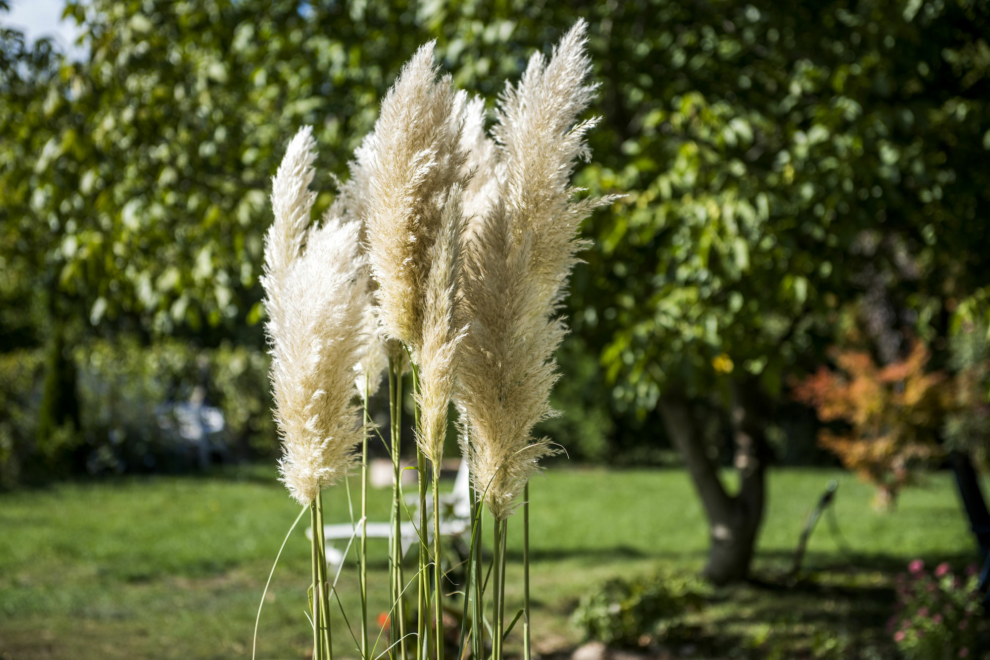 Feng Shui Wellness Apartmanhaz Hévíz Buitenkant foto