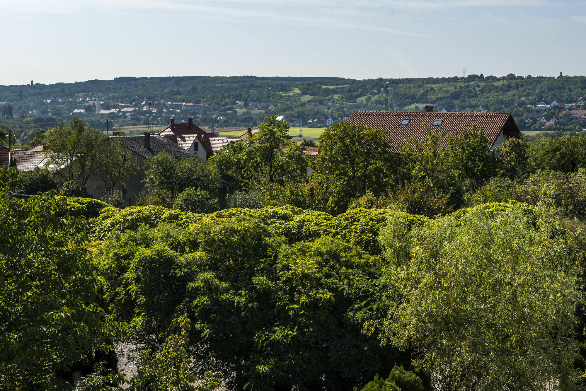 Feng Shui Wellness Apartmanhaz Hévíz Buitenkant foto