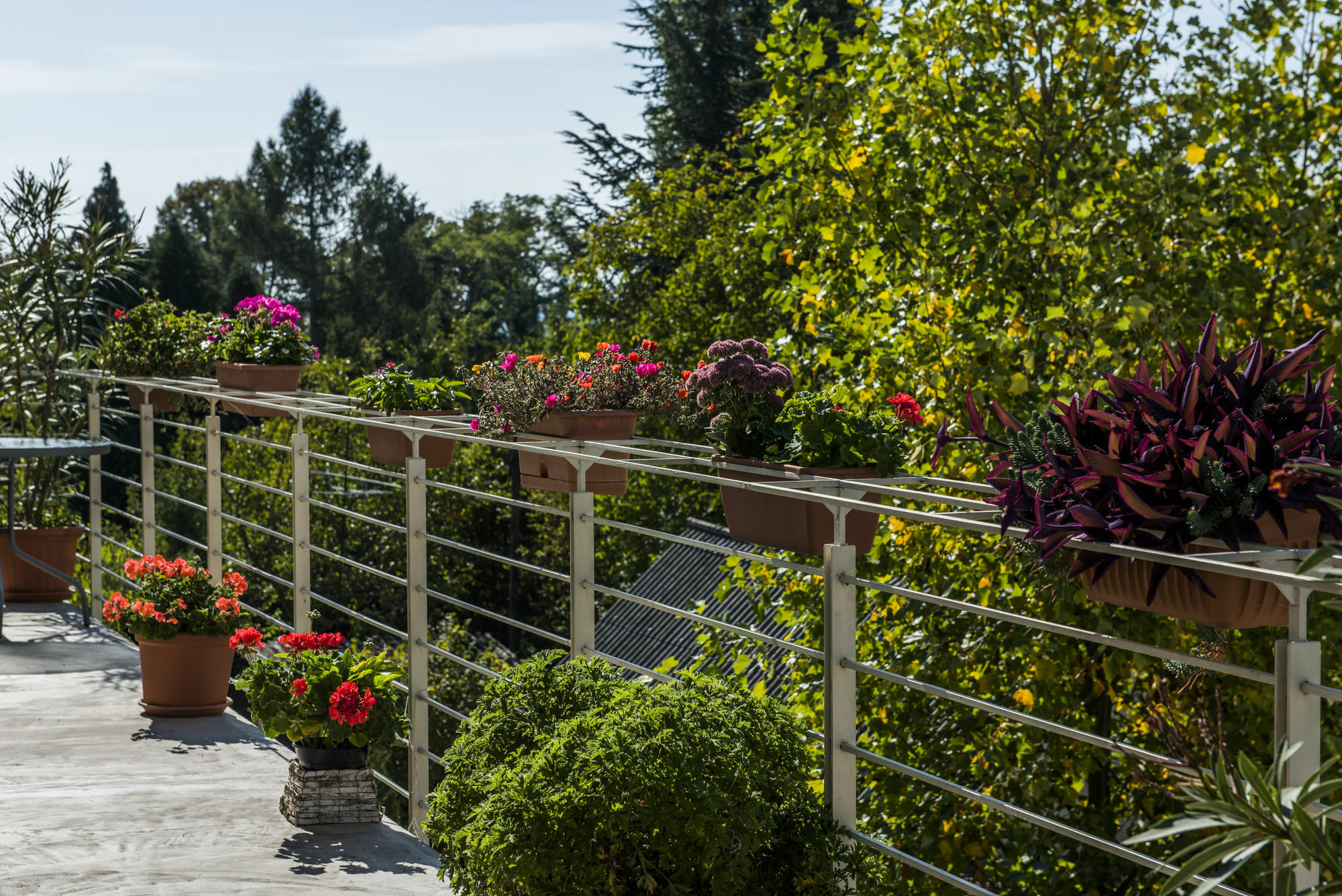 Feng Shui Wellness Apartmanhaz Hévíz Buitenkant foto